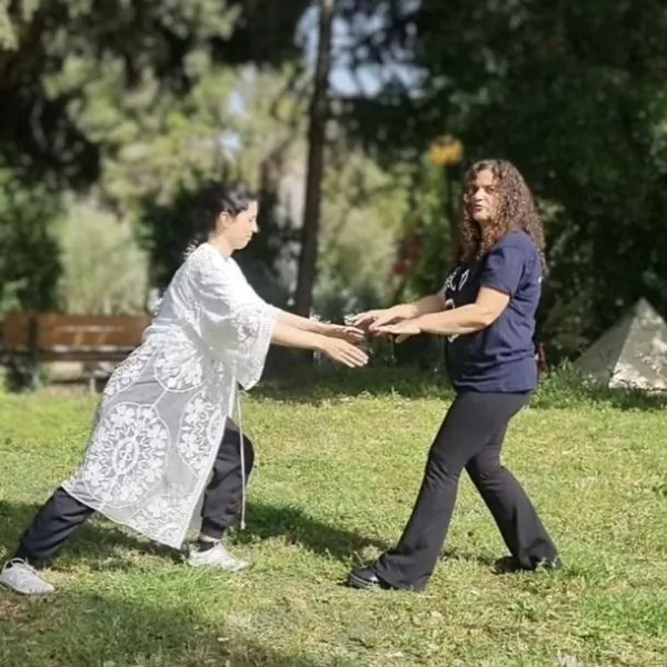 שיעור צ'י קונג פרטי